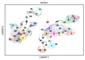 ../_images/tutorials_vimcca_atac_rna_tutorial_11_0.png