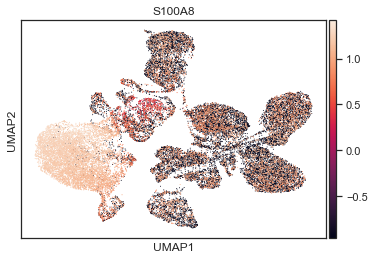../_images/tutorials_vimcca_bmcite_rna_protein_tutorial_12_0.png